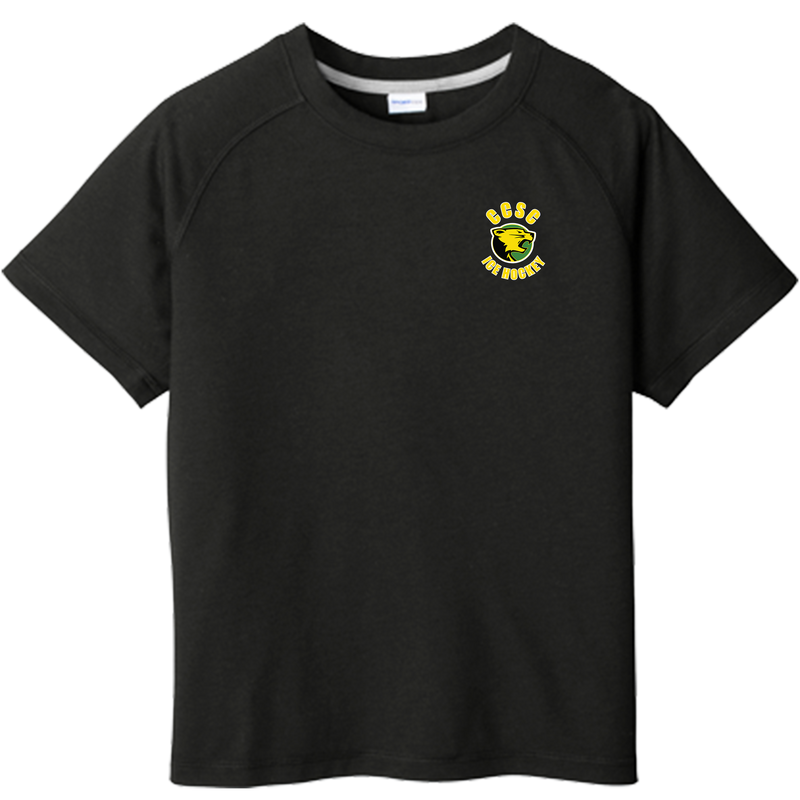 Chester County Youth PosiCharge  Tri-Blend Wicking Raglan Tee